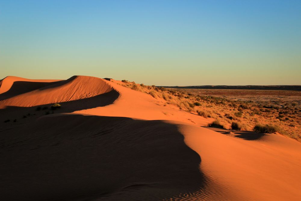 sand dune in the Simpson Desert